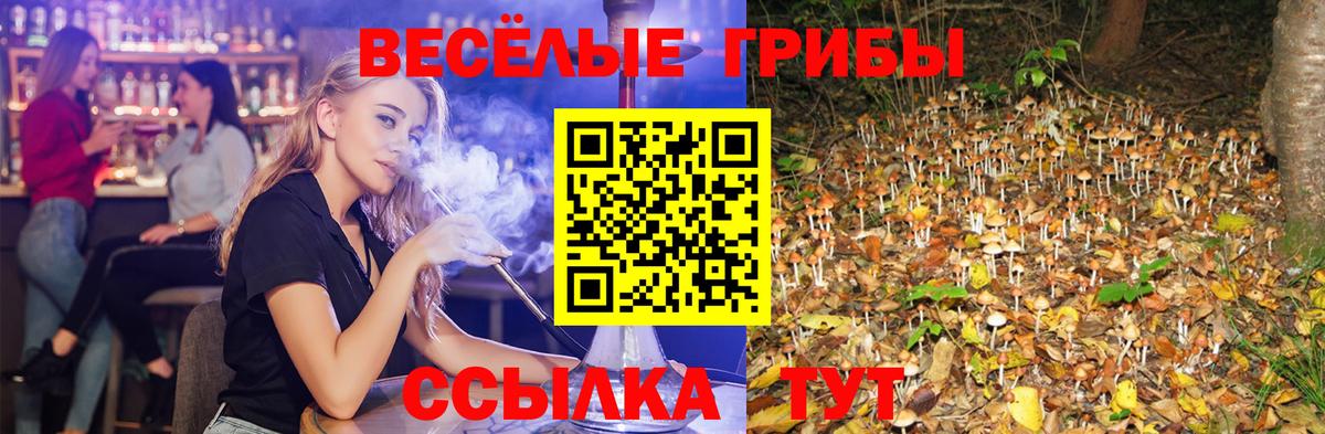 Галлюциногенные грибы мухоморы Реутов