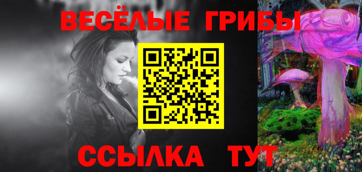 Псилоцибиновые грибы Psilocybe  Вход с VPN  Галлюциногенные грибы прущие грибы  Реутов 